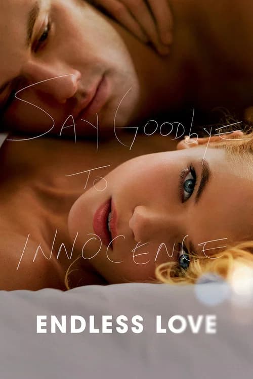 Poster for Endless Love