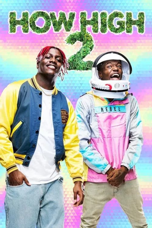 Poster for How High 2