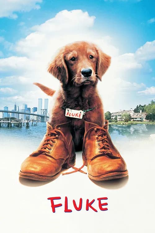 Poster for Fluke