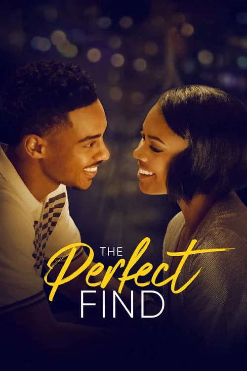 Poster for The Perfect Find