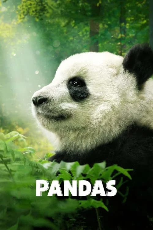 Poster for Pandas