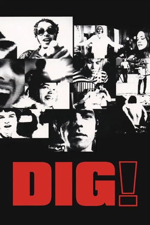 Poster for Dig!