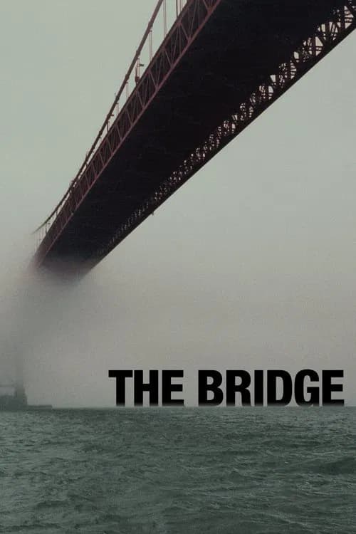 Poster for The Bridge
