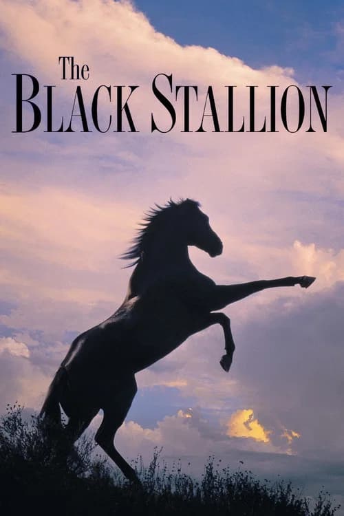 Poster for The Black Stallion