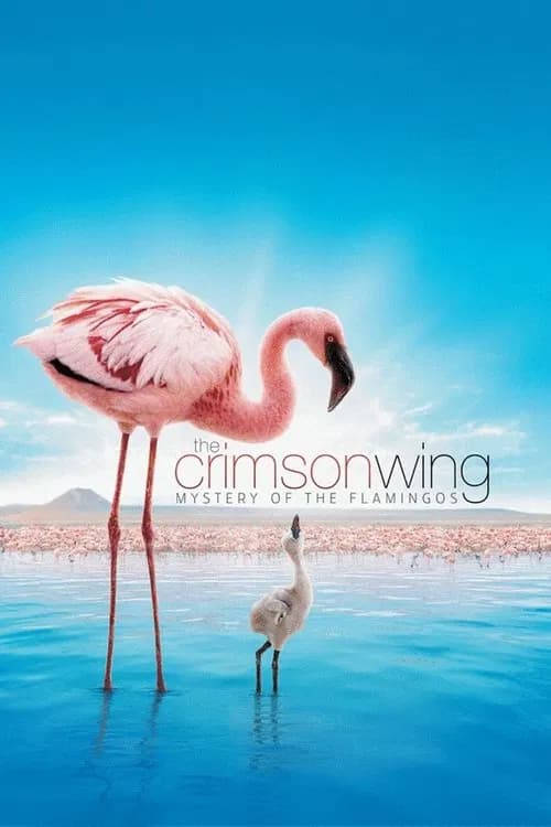 Poster for The Crimson Wing: Mystery of the Flamingos