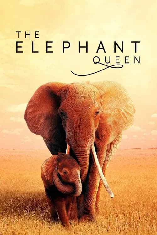 Poster for The Elephant Queen