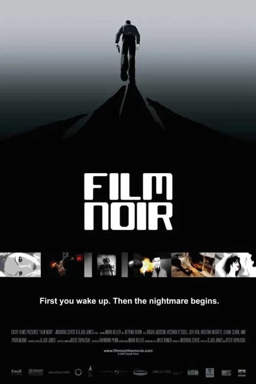 Poster for Film Noir