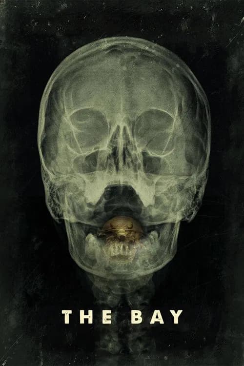Poster for The Bay