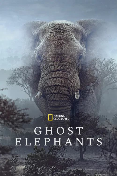 Poster for Ghost Elephants